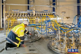 東西方牛仔技藝交鋒 全球視野下的技術傳承與創新推廣