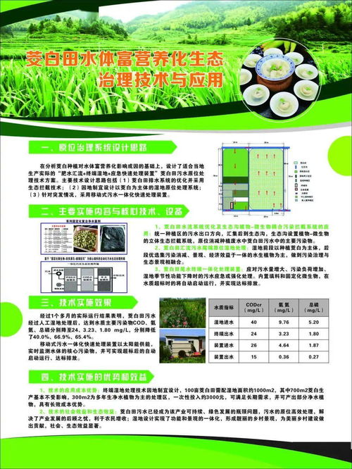 麗水山區茭白綠色可持續發展技術示范現場會在新建鎮召開